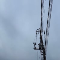 2025/06/09