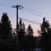 今日いち-2024年8月16日