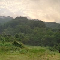 今朝の空模様。