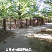 新神戸から谷上