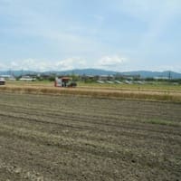 秦河勝の建⽴と伝わる「秦楽寺（じんらくじ）」