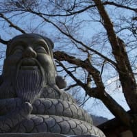 【蛇神・完全理解】Ⅴ.人頭蛇身の金運の神「宇賀神」さま