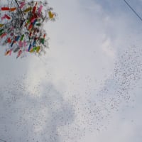 5か月目・・・