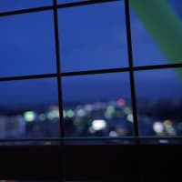 ７月色々