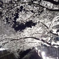 ザ フライ2 砂の城 ザ フライ2 砂の城