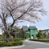 2023 網干の桜10選