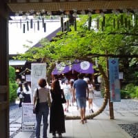 東京大神宮 2025/06/30 と 令和七年七月七日
