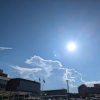 持続する…夏☀