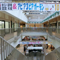 「アピア３ビアガーデン」オープンです