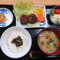 小豆のハンバーグに話題沸騰！「美味しいね、体にもいいし、食べたことがないのがいい！」