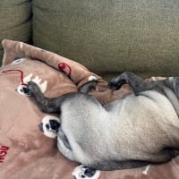 術後7日