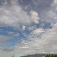 【たかが予感？いえいえ、されど予感！】