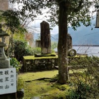 湯来 湯の山温泉桜祭りが開催されます 憩う 楽しむ 広島 湯来通信