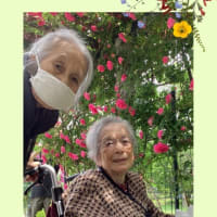 バラ園へ🌹