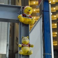 夜のお写んぽ プーさん磔の刑