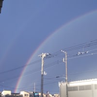 虹の橋🌈