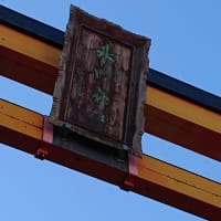 川越 氷川神社へ初めて行きました！
