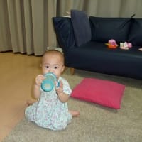 nicoはいつの間にかマグをマスター