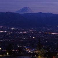 甲府盆地から望む富士山