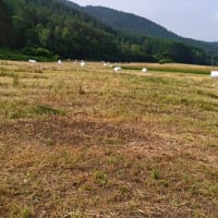 くもり空