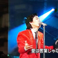 お久しぶり 冬蔵さん Saoの猫日和 お久しぶり 冬蔵さん Saoの猫日和