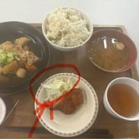 白ご飯を手に入れるまでの１０日間