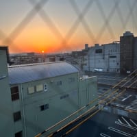 内視鏡下鼻副鼻腔手術を受けた。