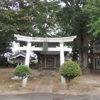 建部神社のケヤキ