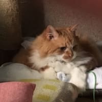 梅雨どきのひと時の合間に