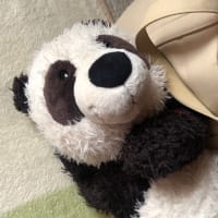 いろんなことをやってきた意味
