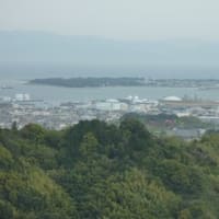 タダオの山日記