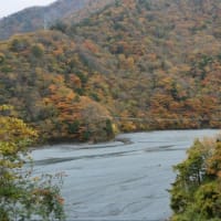 大井川　静岡県　2024年11月16日