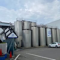 北海道～阪神戦応援旅行⑤