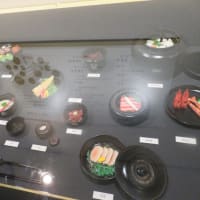 羽を伸ばして！