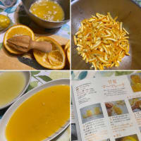 『NHK きょうの料理』で勉強して、マーマレード作りに挑戦！
