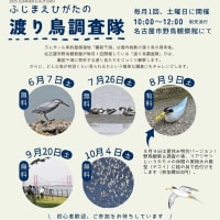 夏休みイベント2025