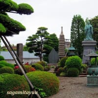 町田の古刹、檀越の菩提寺「長瀧山妙延寺」