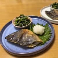 厚揚げの卵とじ☆コロコロサラダ☆焼き魚