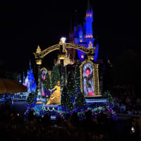 4月末に夫婦で東京ディズニーランドに行きました。