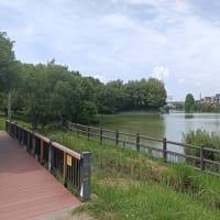 早朝・沢沿いルートで快適（757回目）