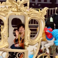 🎃ハウステンボスの旅　長崎観光　最終版