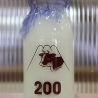 ３００　藤本均質牛乳 200mlビン　（秋田県・藤本乳業）