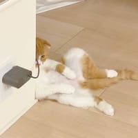 他の病院で再受診