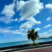 9年沖縄修学旅行(3日目)