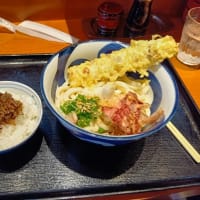 本日のランチはうどんのおいしいことで有名な天粉盛へ。