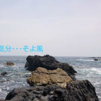 大好きな海