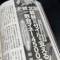 日本の不法移民問題と入管法問題の話。