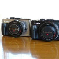 Panasonic DMC-GX1購入