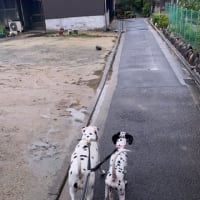 🐒おはようございます🐒