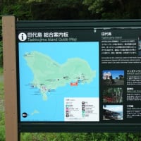 グループわらじ　第599回徒歩定例会「田代島・網地島ハイキング」その２田代島